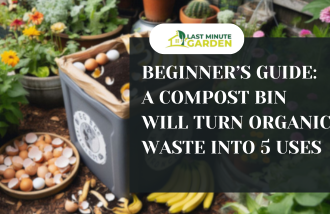 a compost bin will turn organic waste into