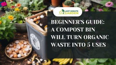 a compost bin will turn organic waste into