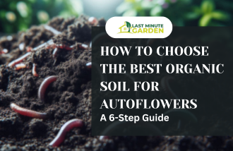 Best Organic Soil for Autoflowers