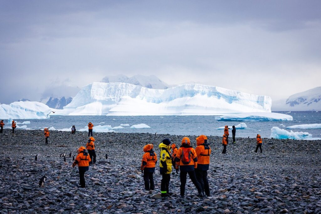 why the soil of antarctica has low organic content