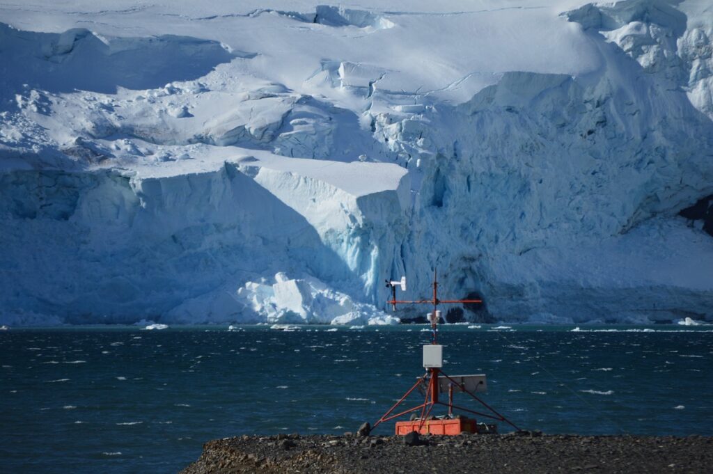 why the soil of Antarctica has little organic content