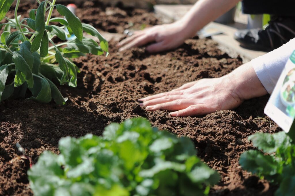 Best organic living soil for a thriving garden
